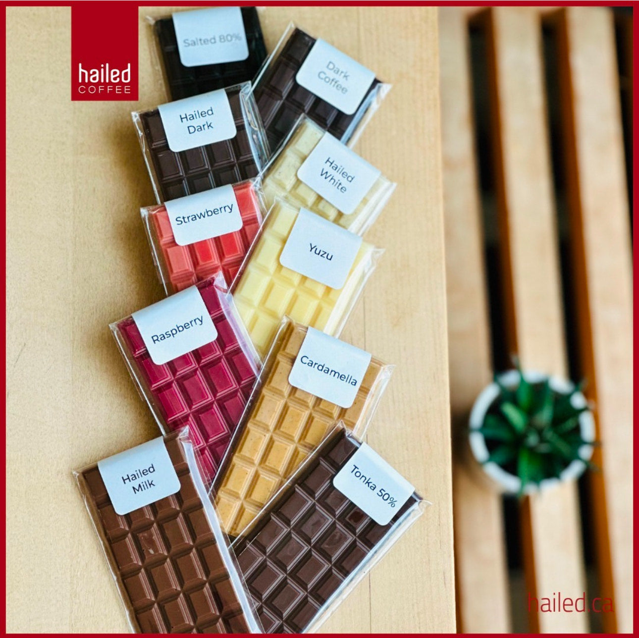 Hailed Mini Chocolate Bar